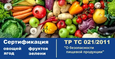 Неделя популяризации потребления овощей и фруктов началась в Магадане -  MagadanMedia