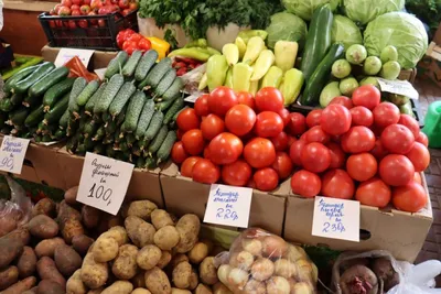 ГОСТ ТЕСТ - Сертификация овощей и фруктов | Особенности сертификации овощей  и фруктов в России | Государственная регистрация овощей и фруктов с ГМО