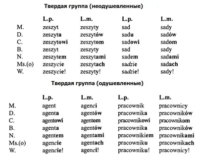 Иллюстрация 1 из 4 для Плакат \"Падежи имён существительных\" (3798) |  Лабиринт - книги. Источник: Лабиринт