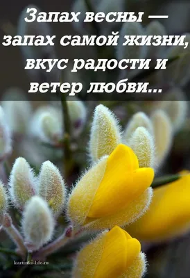 Вера Прокопенко - А небо пахнет Весной!!! До весны... | Facebook