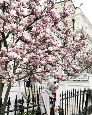 Чем пахнет весна... | Фотосайт СуперСнимки.Ру