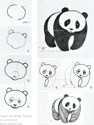 Панда рисунок поэтапно - 26 фото