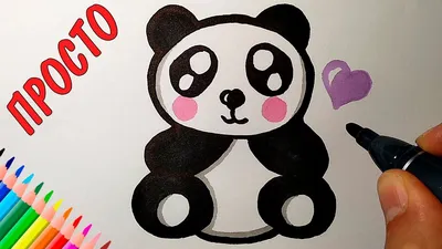 Картинки по запросу как нарисовать панду | Learn to draw, Easy drawings,  Drawing for kids