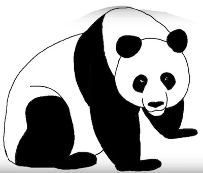 Как нарисовать панду | Блог «Онлайн-Школа»
