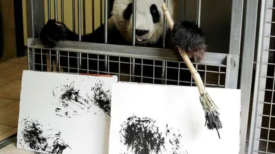 Как нарисовать панду По из мультфильма \"Кунг-фу панда\"