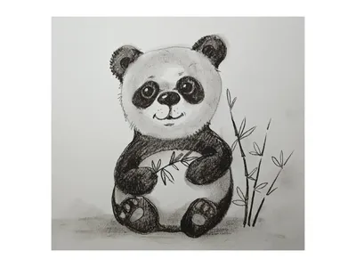 Поэтапное рисование панды - 56 фото