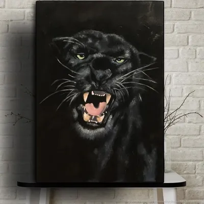 Черная пантера Багира: в Абакане родились три редких котенка - KP.RU