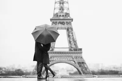 Фото париже Эйфелева башня Франция мост черно белые Города 2560x1706