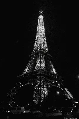 Фотообои Эйфелева башня Париж. Каталог: Черно-белые. №15165 | ABC-Decor