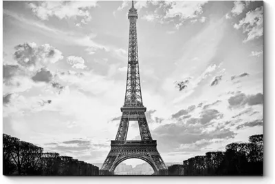 Купить готовые фотообои в Полоцке -Акция-25% на фотообои -Эйфелева башня  Париж - Черно-белые фотообои