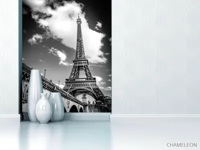 Купить Картина \"Черно-белый Париж 4\" , холст, масло, 50х60см , цена 2700р.