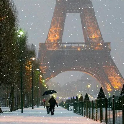 Зима в Париже стоковое изображение. изображение насчитывающей напольно -  33612575