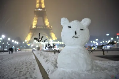 Париж и целый мир - Paris10.ru - Куда пойти дождливым днем в Париже? На  выставку орхидей! Вот такая в Париже зима. Снег здесь видят не часто, но  промозглая сырая погода может стоять