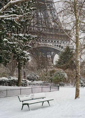 DOQMI - Прекрасный Париж зимой, Франция 🇫🇷 | Facebook