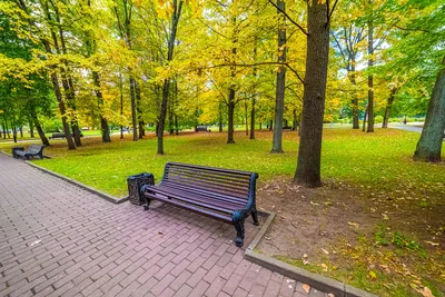 15 парков Москвы, в которых можно провести выходные