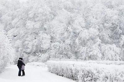 Взрослые пары любят, паркуются зимой стоковое фото ©byswat 106049810