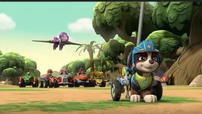 Сценаристы мультфильма «Щенячий патруль» создали щенка на коляске, которого  придумал мальчик со СМА - Семьи СМА