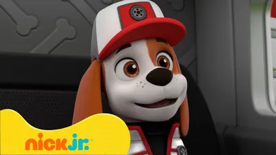 Щенячий патруль | Щенки-дальнобойщики самые лучшие моменты! 🚒🐶 | Nick Jr.  Cyrillic - YouTube