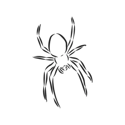 Эскиз много черных пауков нарисованных в черном фарфоре качая Иллюстрация  штока - иллюстрации насчитывающей детально, уникально: 113683274