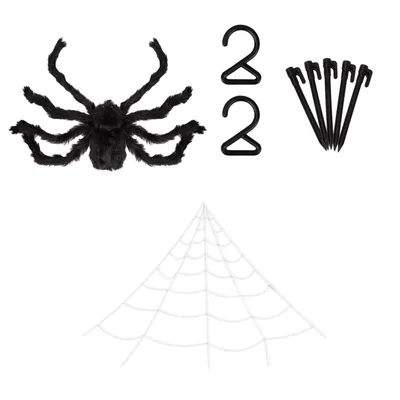 Паутина, паук, симметрия, монохромный, насекомые png | PNGWing