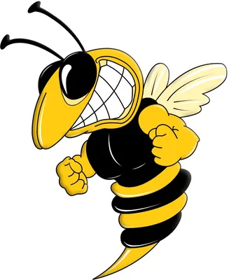 иллюстрация желтой и черной пчелы, мультфильм пчелы, милая пчела,  медоносная пчела, роспись, рука png | PNGWing