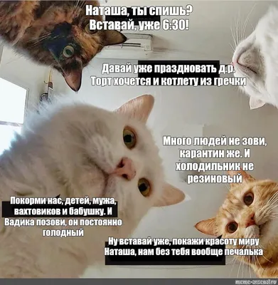 мне без тебя печально｜Búsqueda de TikTok