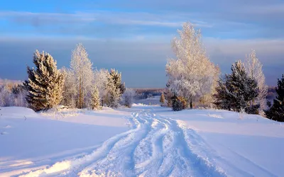 Зимние пейзажи природы (37 фото) - 37 фото