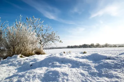 картинки : пейзаж, дерево, природа, снег, холодно, зима, небо, белый, поле,  Солнечный лучик, утро, мороз, Лед, Осень, Погода, снежно, Синий, время  года, Поля, Зимний, Замораживание, Зимнее настроение, Пахотный 7360x4912 -  - 1171546 - красивые картинки ...