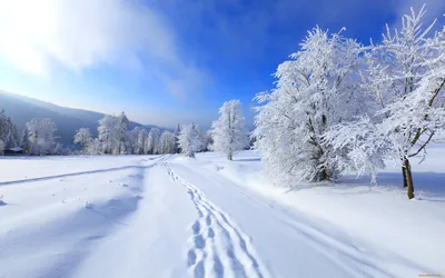 Картинки Пейзаж, природа, зима, снег, сугробы, закат, ели, елка, лес, вид,  горы, горизонт, зима, снег, горы, голубой, синий, лес, деревья, природа,  берег, атмосфера, ель, елка, зима, снег, горы, голубой, синий, лес, деревья,