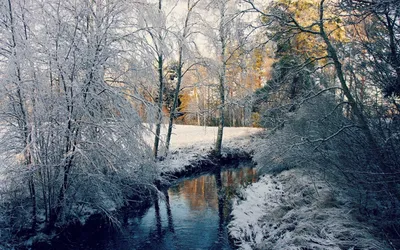 Бесплатное изображение: пейзаж, дерево, снег, Мороз, дерево, синее небо,  холодная, природа, зима