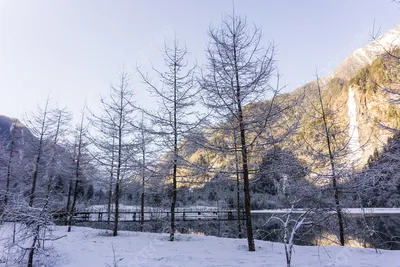 картинки : пейзаж, природа, зима, белый, мороз, Погода, время года,  Снегопад, метель, Замораживание, зимняя буря, Дождь со снегом смешанный  4032x3024 - - 1288960 - красивые картинки - PxHere