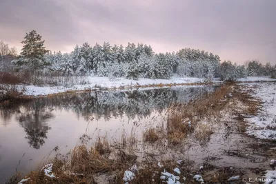 Зимние фоны: Зимний лес, природа зимой, зимние пейзажи, зима - 6 Февраля  2012 - Персональный сайт