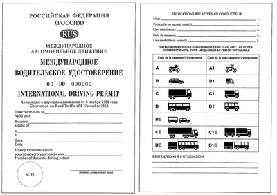 Правила перевозки животных в автомобиле: забавные видео и несмешные  проблемы для водителей | Новости и обзоры от iBOX