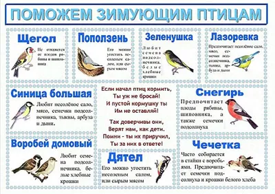 Картинки с названиями зимующих птиц (13 фото) 🔥 Прикольные картинки и юмор