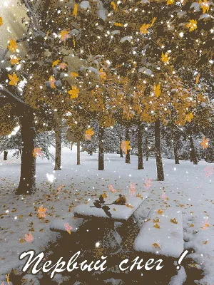 Первый снег ! | Осенние картинки, Зимние картинки, Снег