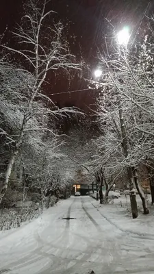 Фотографии на тему \"Первый снег\". Это еще не зима... | Едем по стране | Дзен