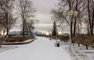 Первый снег в Ростове | Пикабу