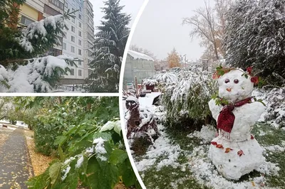 В Украине выпал первый снег: куда ворвалась настоящая зима - Главред