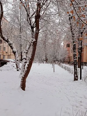 Зима, парк, снег, улица, первый снег, сказка | Snow, Outdoor