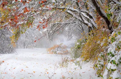 зима первый снег снег пейзаж пейзаж PNG , зимний пейзаж, рукописные,  снежный пейзаж Иллюстрация Изображение на Pngtree, Роялти-фри | 雪景色 イラスト,  風景 イラスト, 冬のアート