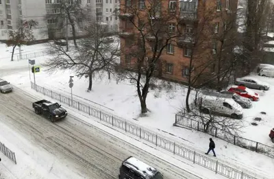 Первый снег белорусские писатели превращают в символ