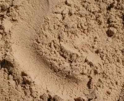 Что делают из песка | STK Строительная Торговая Компания | Дзен
