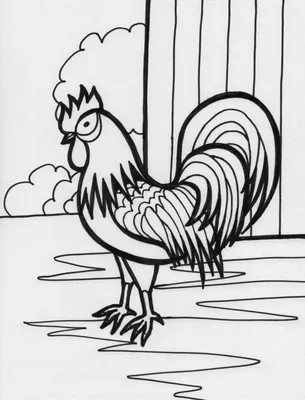 Раскраска курица и петух 😻 распечатать бесплатно