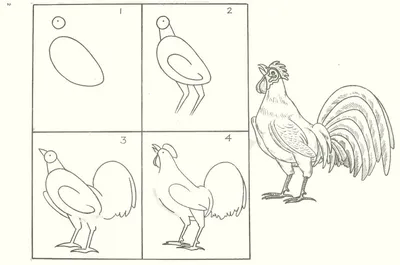 Нарисовать Петуха (54 Фото)