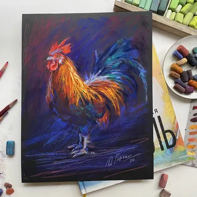 Цыпленок евклидового петуха, цветной петух, акварель, цветной всплеск,  цветной карандаш png | PNGWing