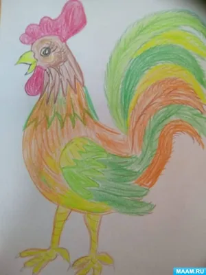 Как нарисовать курицу карандашом | Рисунок для начинающих поэтапно - YouTube