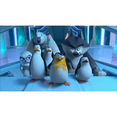 Фильм «Пингвины Мадагаскара» / The Penguins of Madagascar (2014) —  трейлеры, дата выхода | КГ-Портал