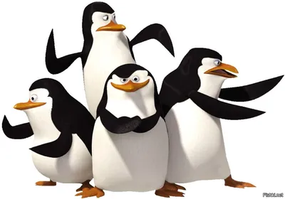 Пингвины Мадагаскара — любимые герои!» — создано в Шедевруме