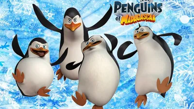 Пингвин Шкипер, Пингвин, животные, птица, пингвины Мадагаскара png |  Klipartz