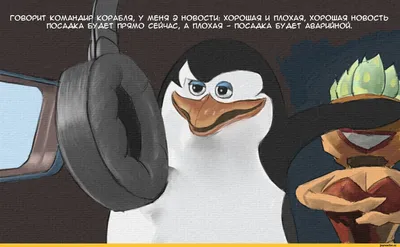 Аналогия Черепашек-ниндзя и Пингвинов из Мадагаскара | Пикабу